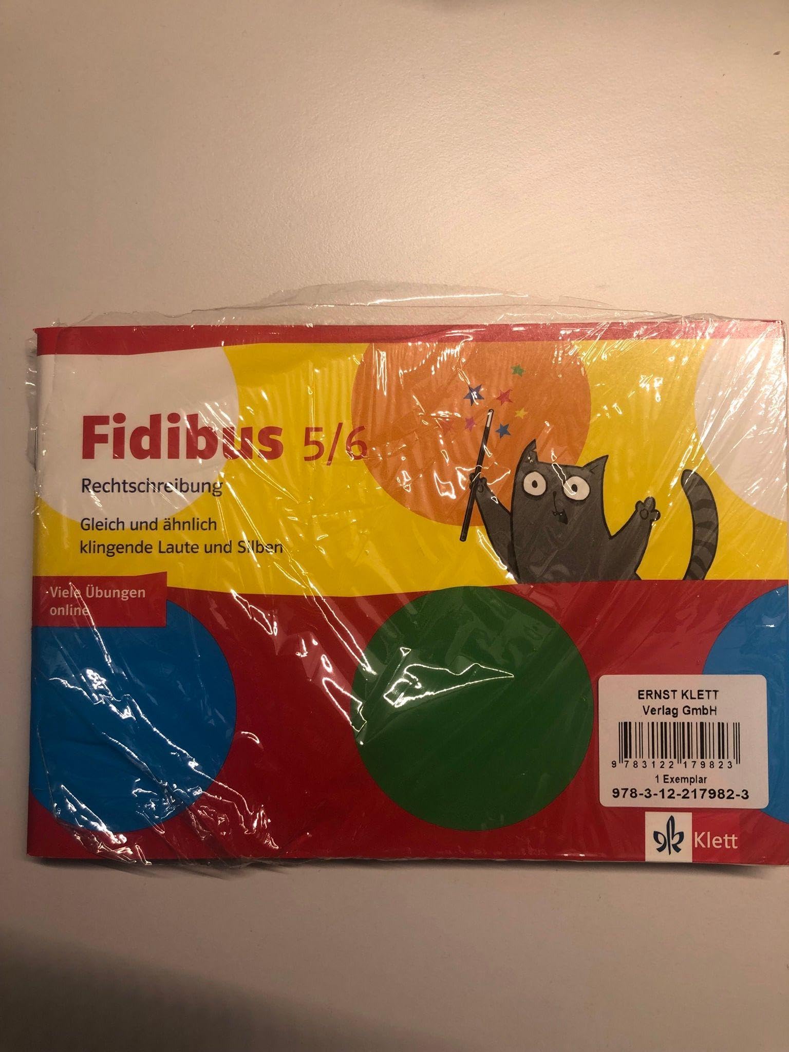 Fidibus Paket Rechtschreibung: 4 Arbeitshefte Klasse 5/6 Study Guides