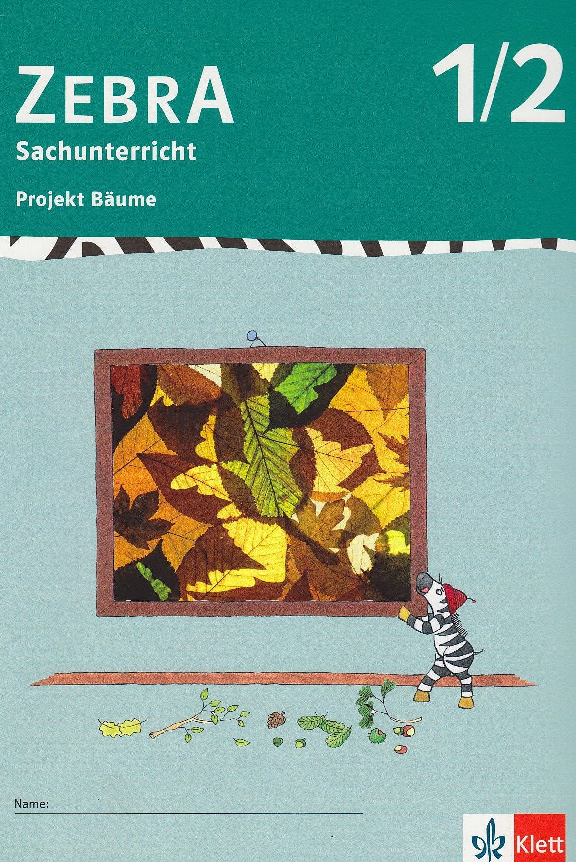 Zebra Sachunterricht 1-2: Projektheft Bäume Klasse 1/2 Study Guides