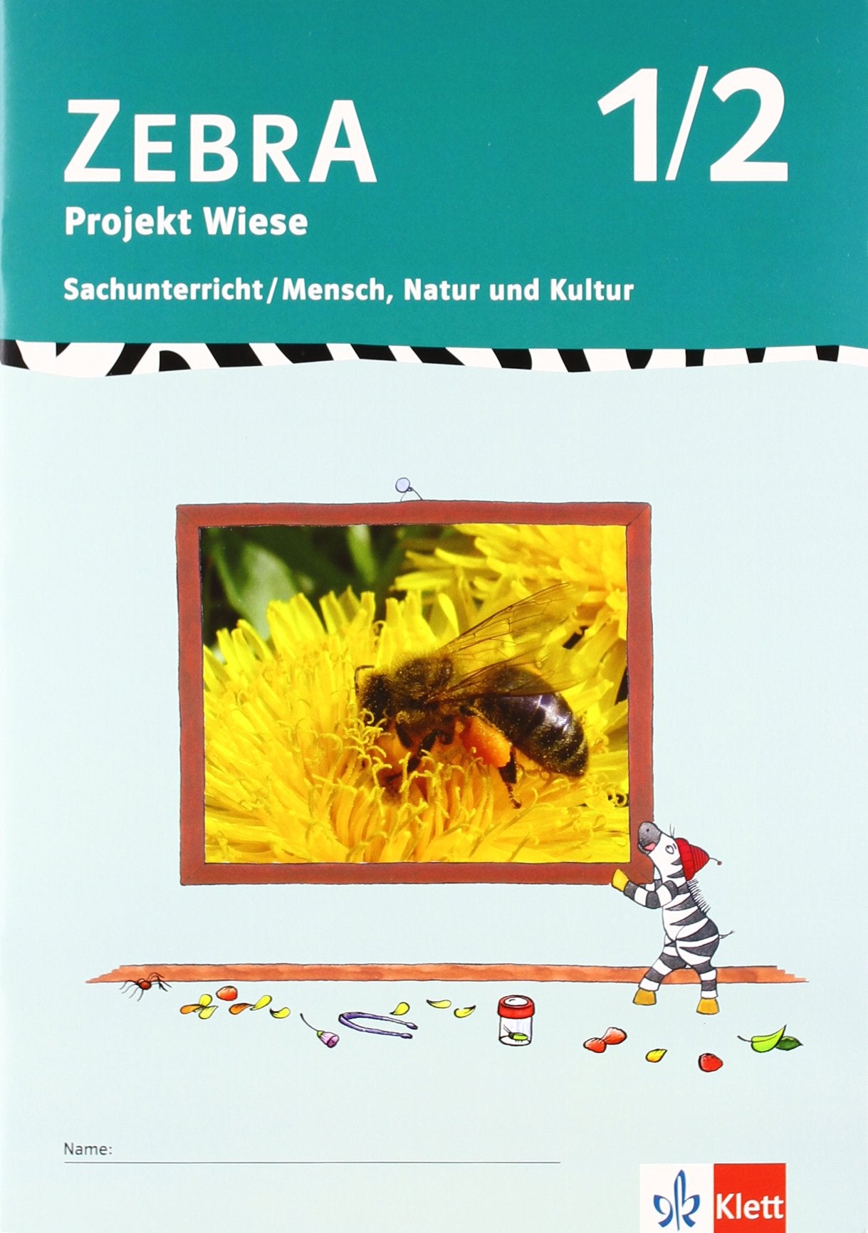 Zebra Sachunterricht 1-2: Projektheft Wiese Klasse 1/2 Study Guides
