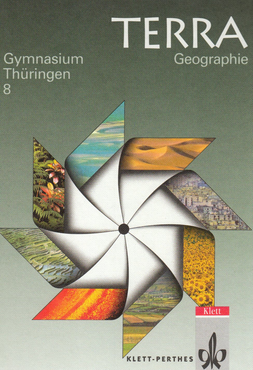 TERRA Geographie für Thüringen - Gymnasium: TERRA Geographie, Ausgabe Thüringen, 8. Schuljahr Study Guides