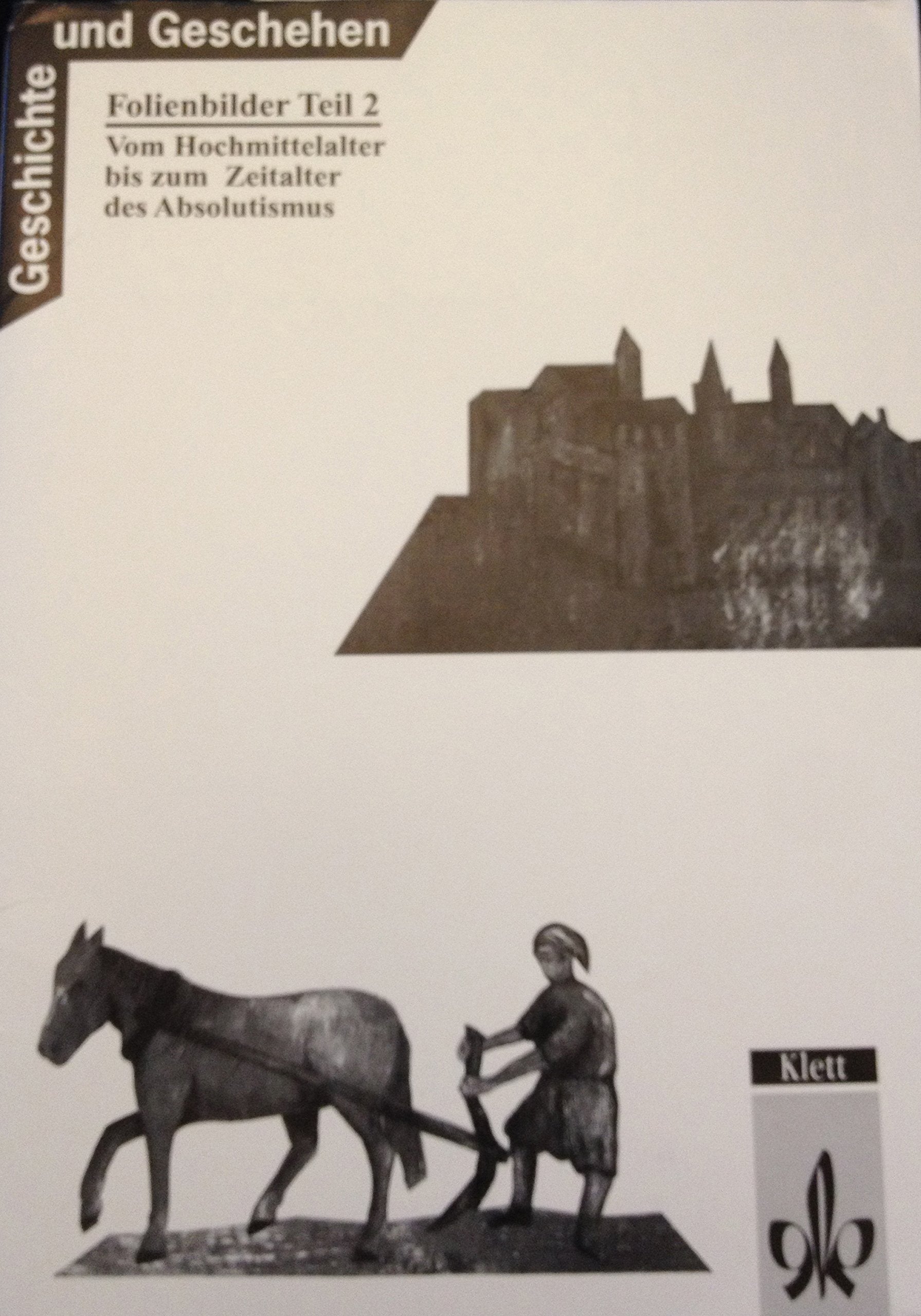 Vom Hochmittelalter bis zum Zeitalter des Absolutismus. Books
