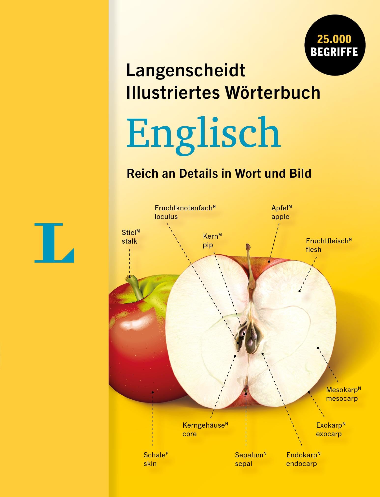 Langenscheidt Illustriertes Wörterbuch Englisch Foreign Languages ​​& Dictionaries