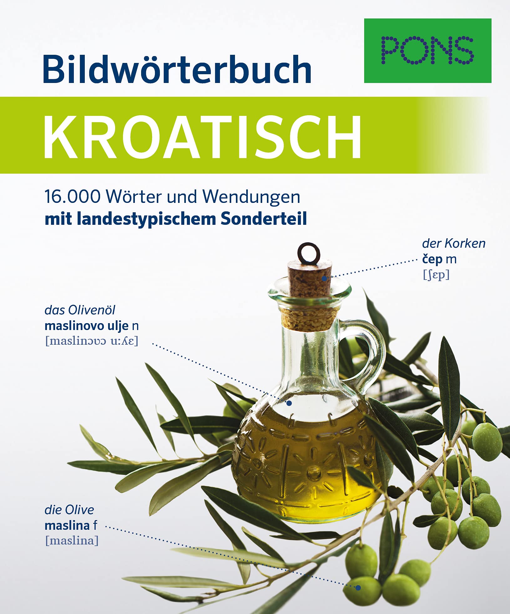 PONS Bildwörterbuch Kroatisch General education Books
