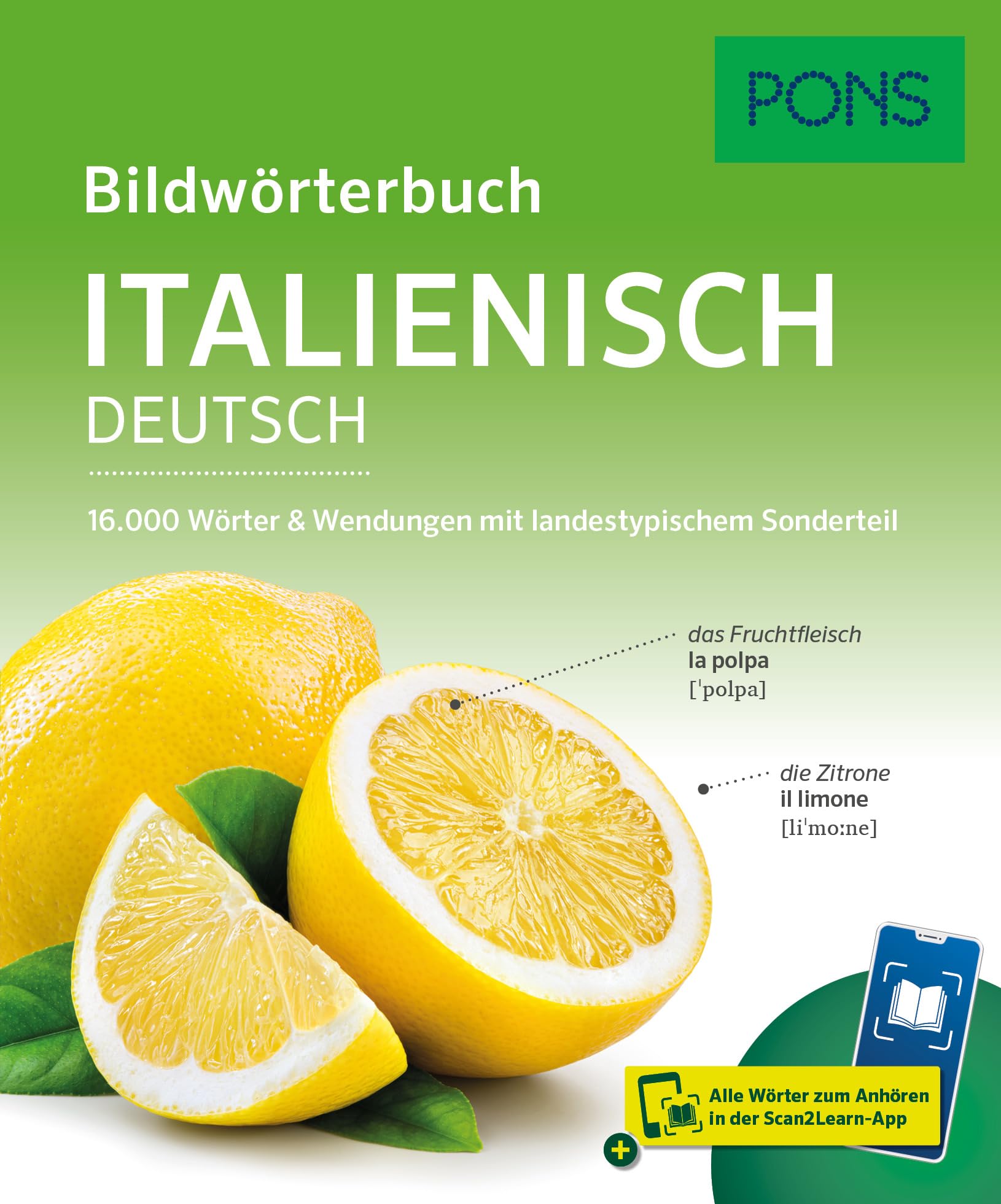 PONS Bildwörterbuch Italienisch General education Books