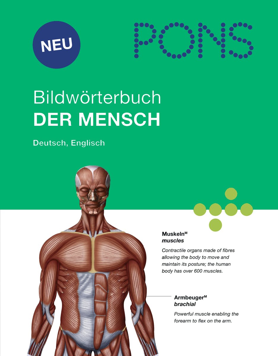 Product Image: PONS Bildwörterbuch Der Mensch