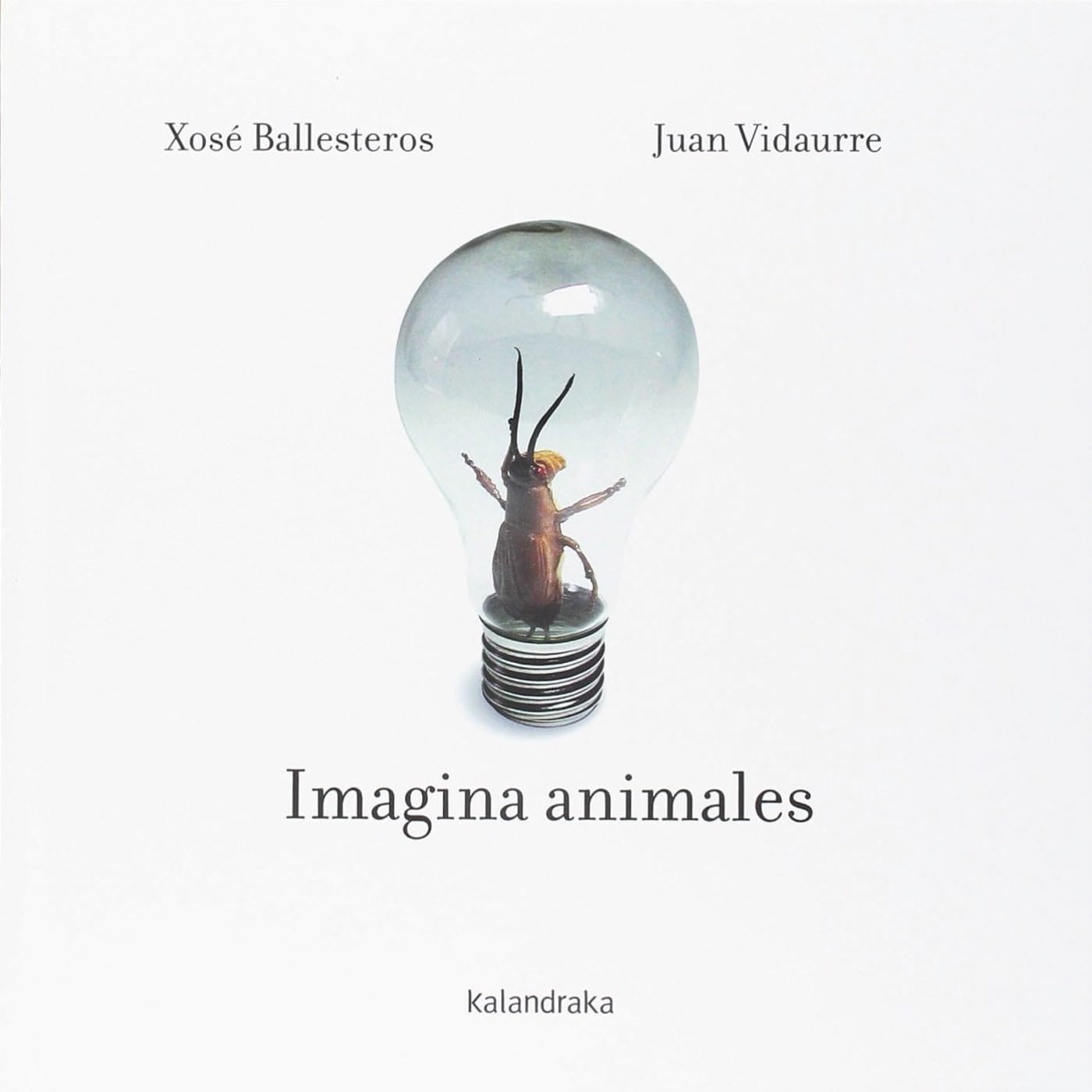 Imagina animales Study Guides Books