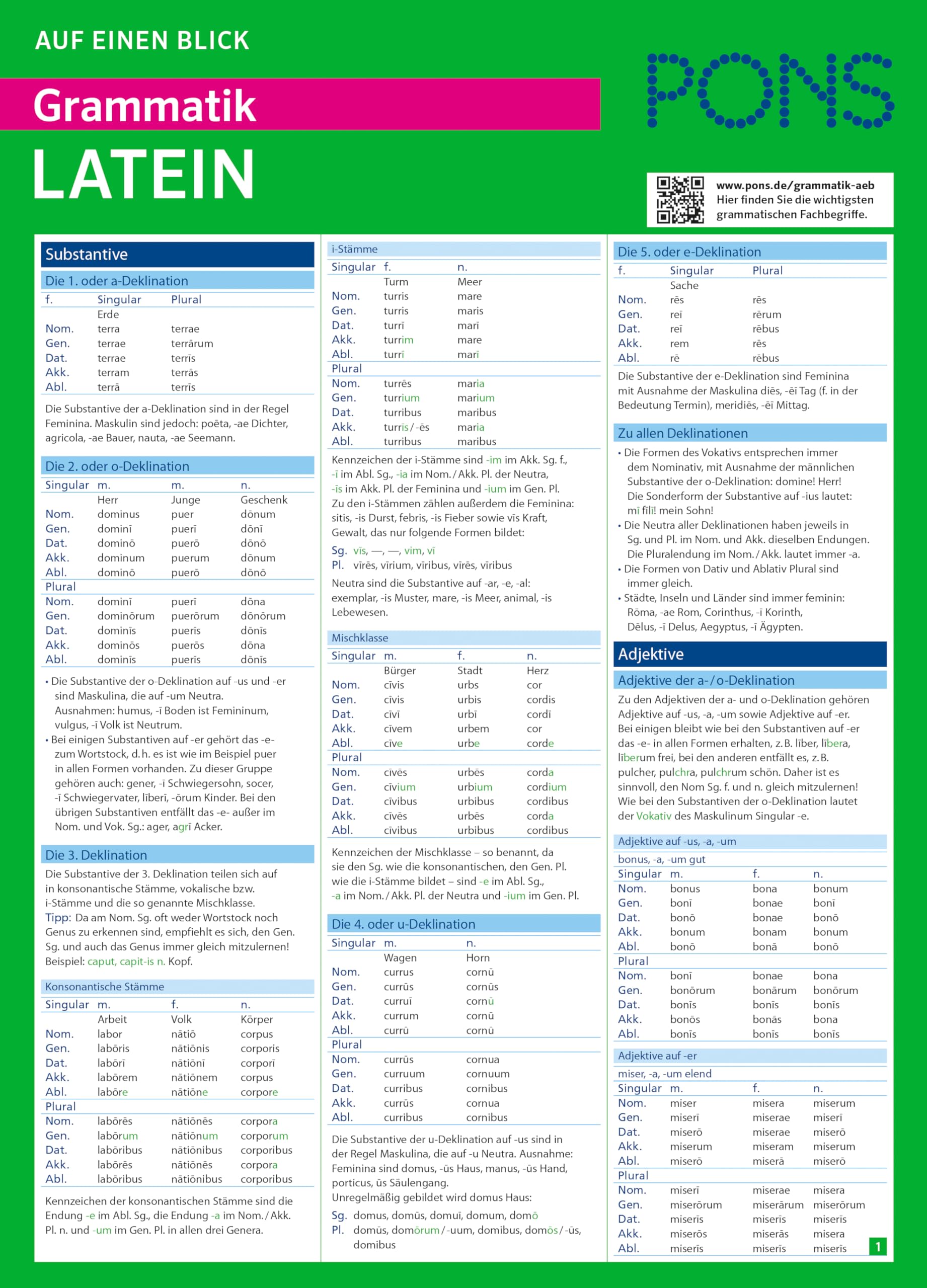 PONS Grammatik auf einen Blick Latein Foreign Languages ​​& Dictionaries