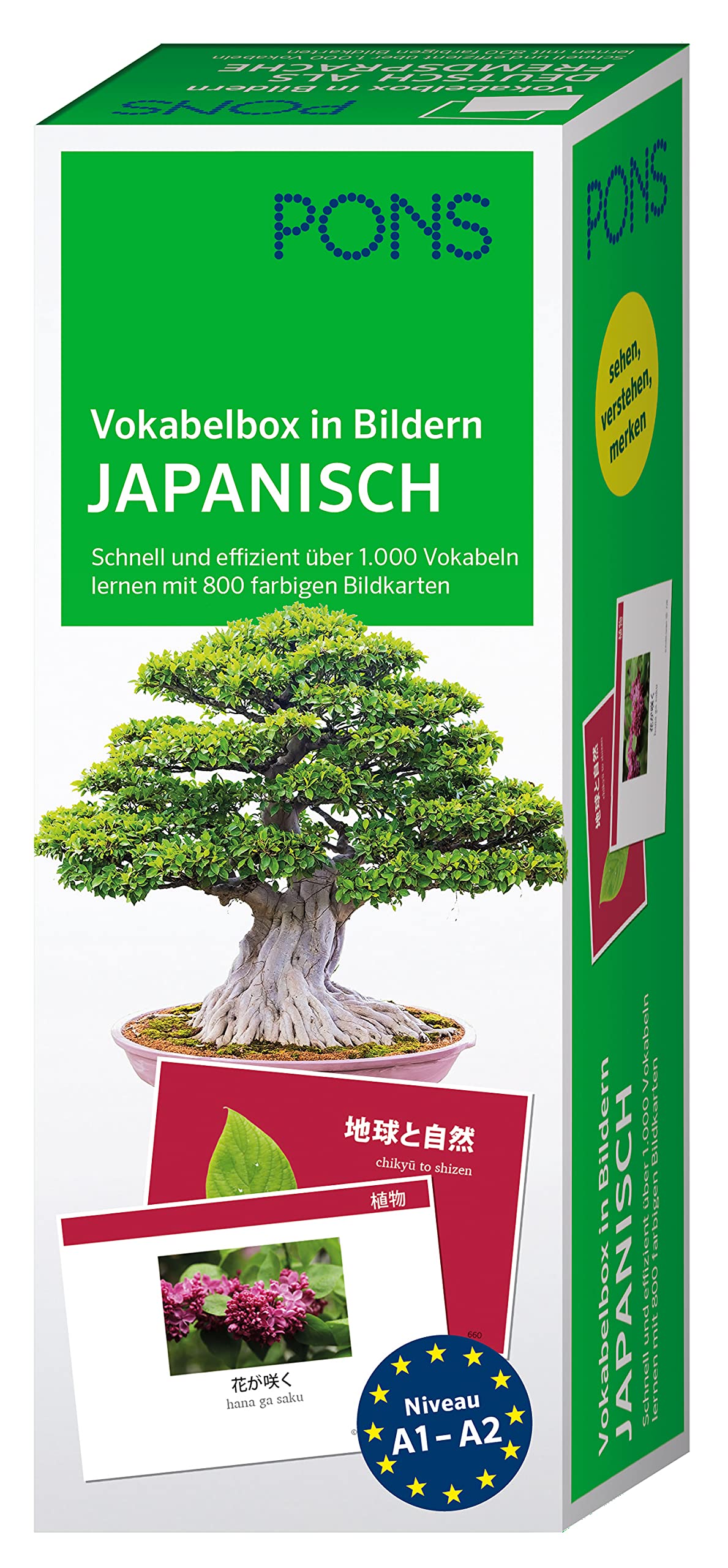 PONS Vokabelbox in Bildern Japanisch: Schnell und effizient über 1.000 Vokabeln lernen mit 800 farbigen Bildkarten Foreign Languages ​​& Dictionaries