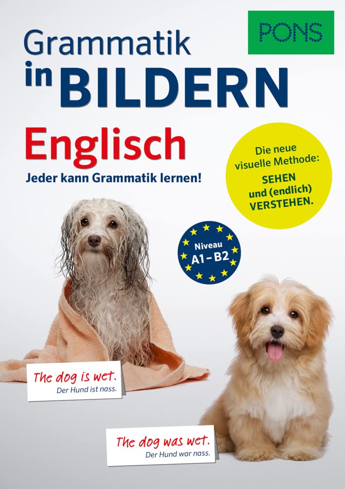 PONS Grammatik in Bildern Englisch Foreign Languages ​​& Dictionaries