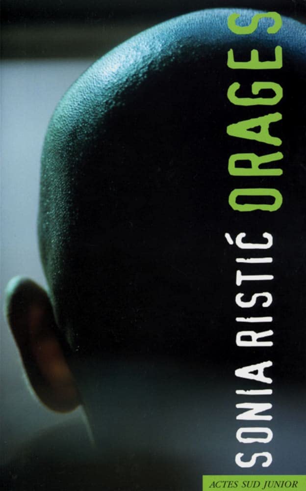 Orages: Französische Lektüre für die Oberstufe (Prix des lycéens allemands) Foreign Languages ​​& Dictionaries
