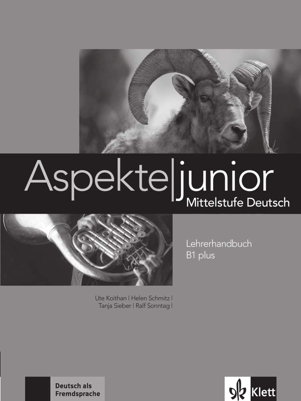 Aspekte junior B1 plus: Mittelstufe Deutsch. Lehrerhandbuch (Aspekte junior: Mittelstufe Deutsch) Foreign Languages ​​& Dictionaries
