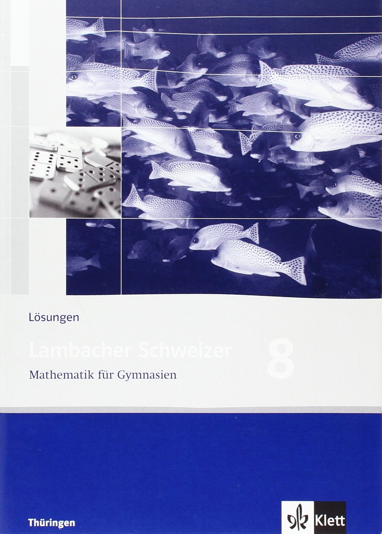 Lambacher Schweizer. 8. Schuljahr. Lösungen. Thüringen Learning & Reference