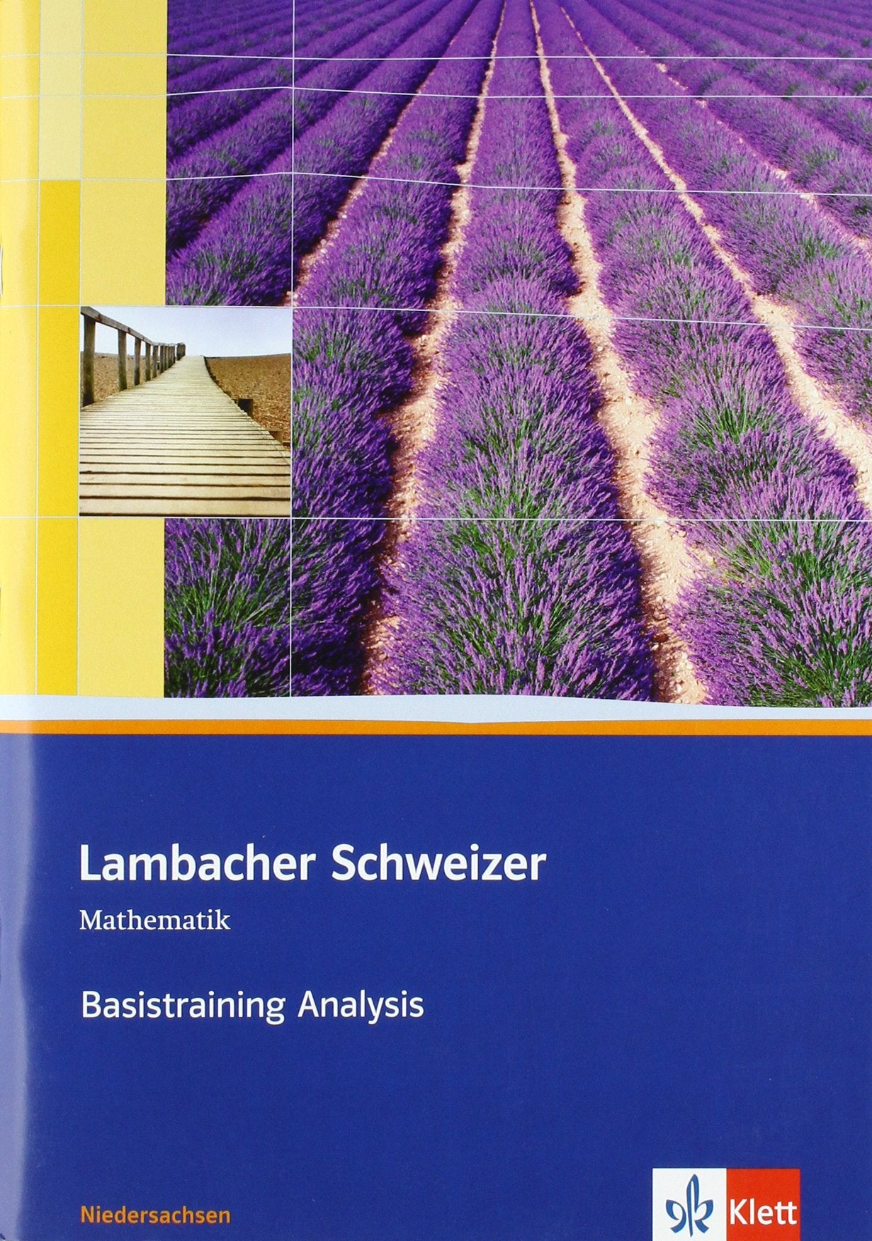 Lambacher Schweizer. 11. und 12. Schuljahr. Basistraining Analysis. Niedersachsen Study Guides