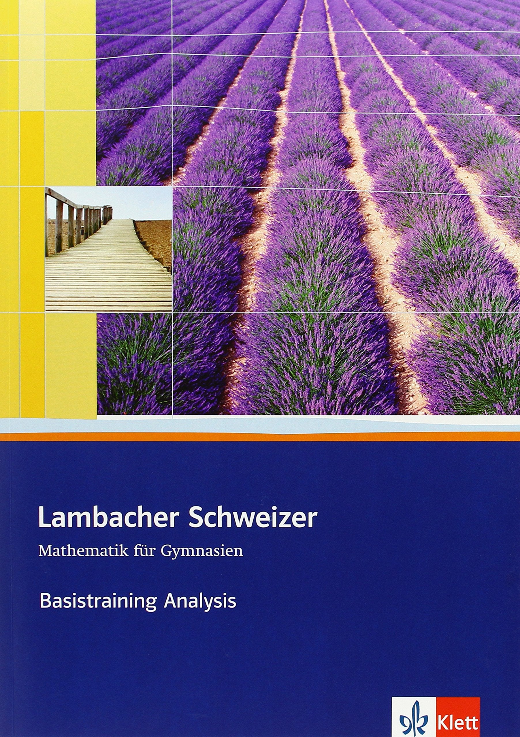 Lambacher Schweizer. Sekundarstufe II. Basistraining Analysis Study Guides