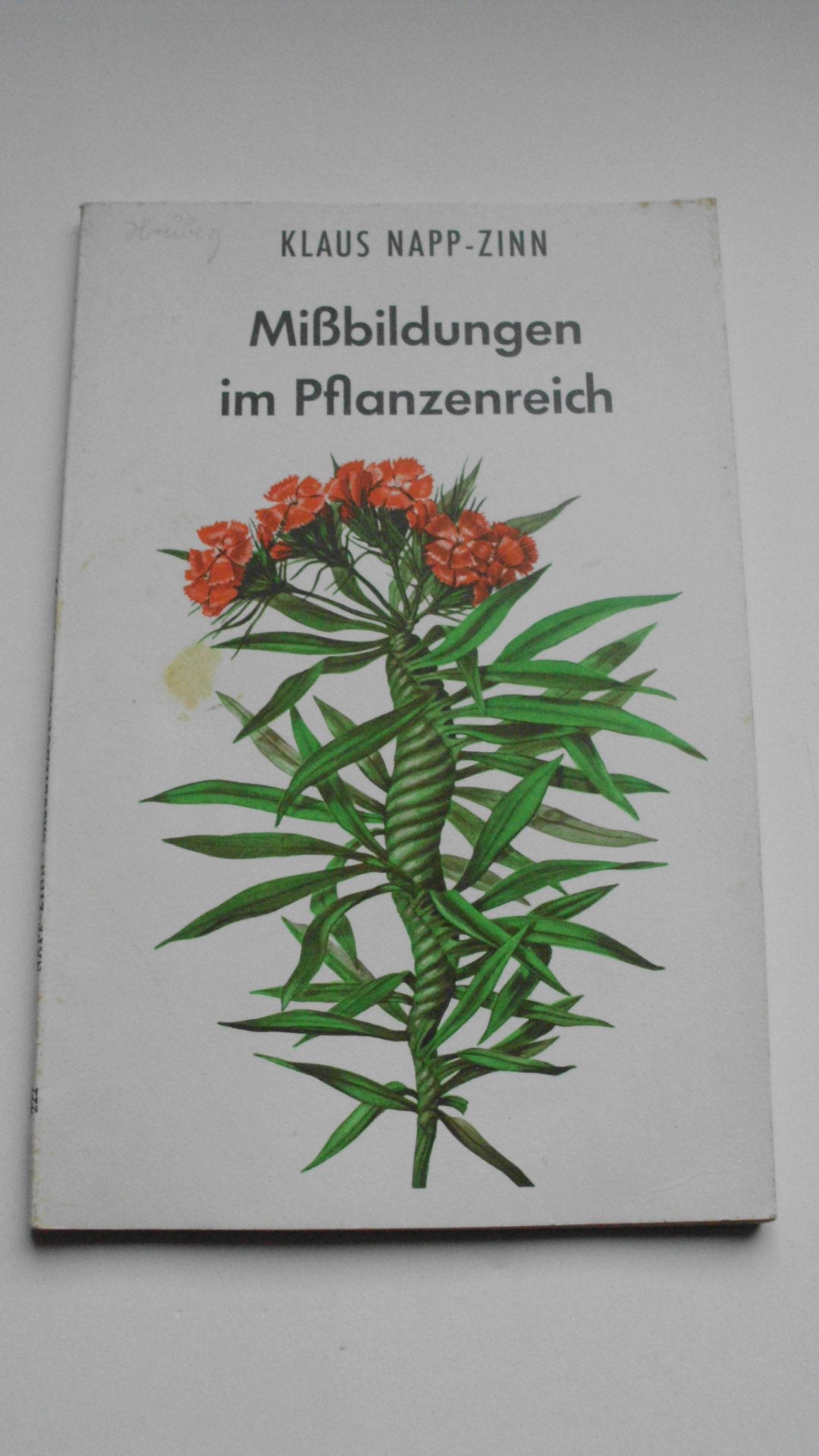 Die Pflanze II. Weitere Blütenpflanzen und blütenlose Pflanzen Leisure, Home & Garden
