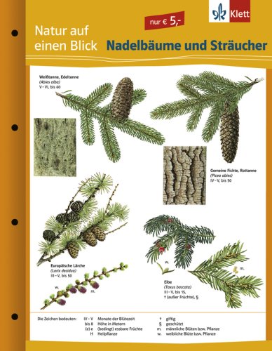 Nadelbäume und Sträucher: Naturkundefolder Klasse 1-10 (Natur auf einen Blick) Garden & Plants