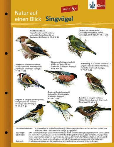 Singvögel: Naturkundefolder Klasse 1-10 (Natur auf einen Blick) Study Guides