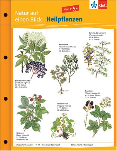 Heilpflanzen: Naturkundefolder Klasse 1-10 (Natur auf einen Blick) Study Guides