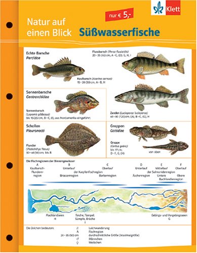 Süßwasserfische: Naturkundefolder Klasse 1-10 (Natur auf einen Blick) Study Guides