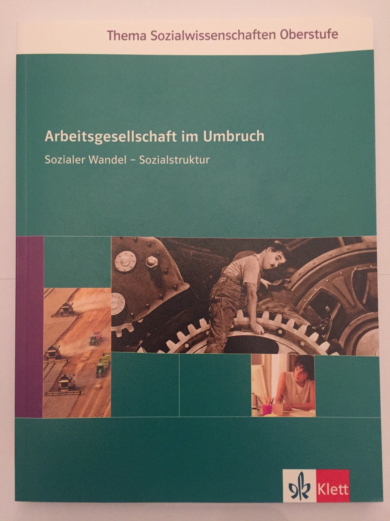 Arbeitsgesellschaft im Umbruch /Sozialer Wandel - Sozialstruktur: Sekundarstufe II Study Guides