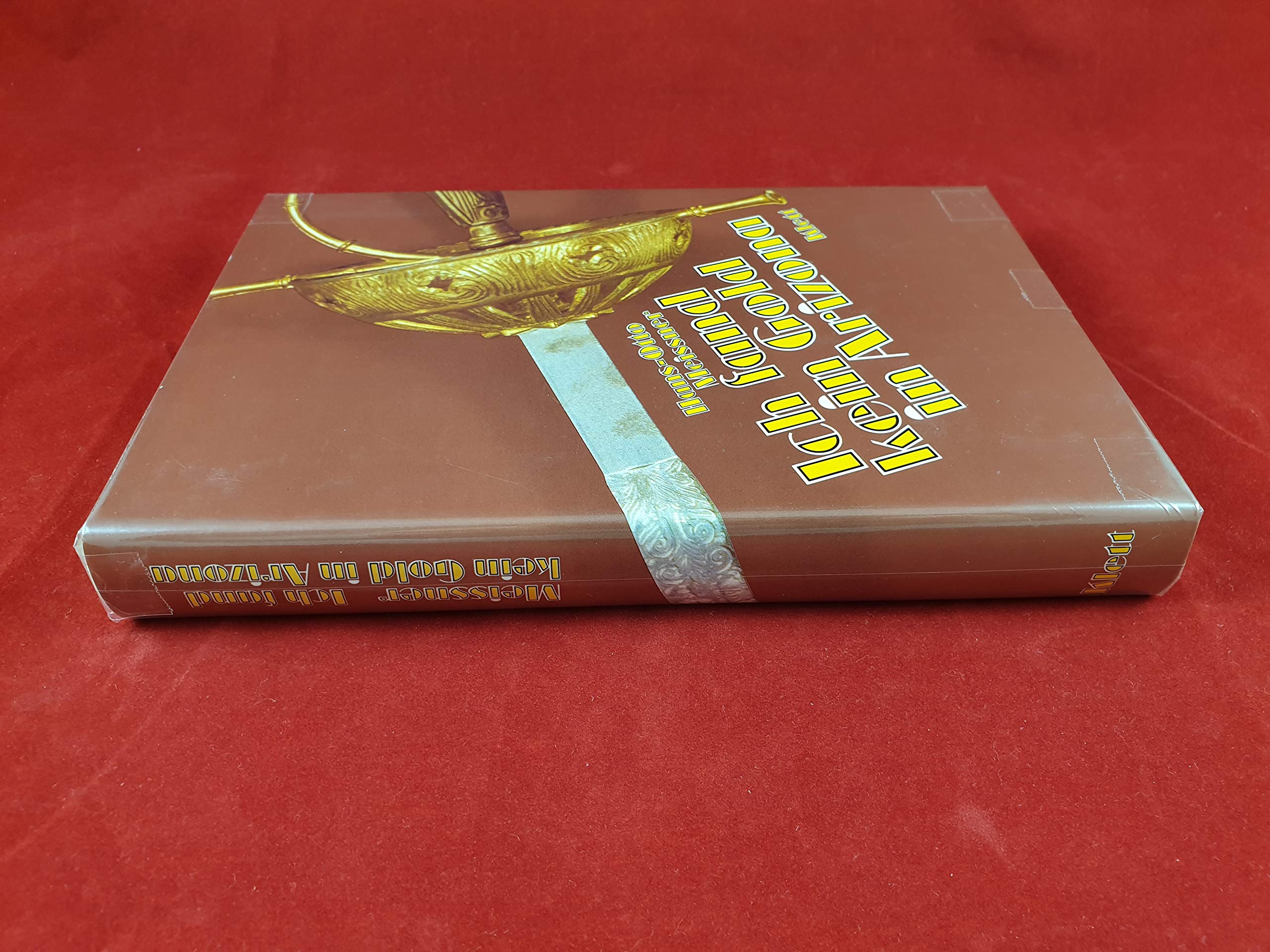 Ich fand kein Gold in Arizona. Die Abenteuer des Francisco Vasquez de Coronado Books