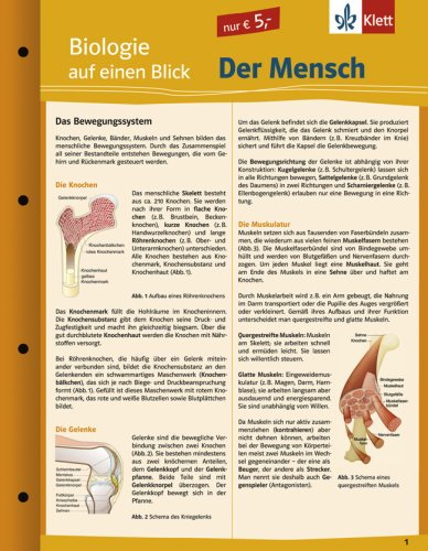Biologie auf einen Blick: Der Mensch Study Guides Books