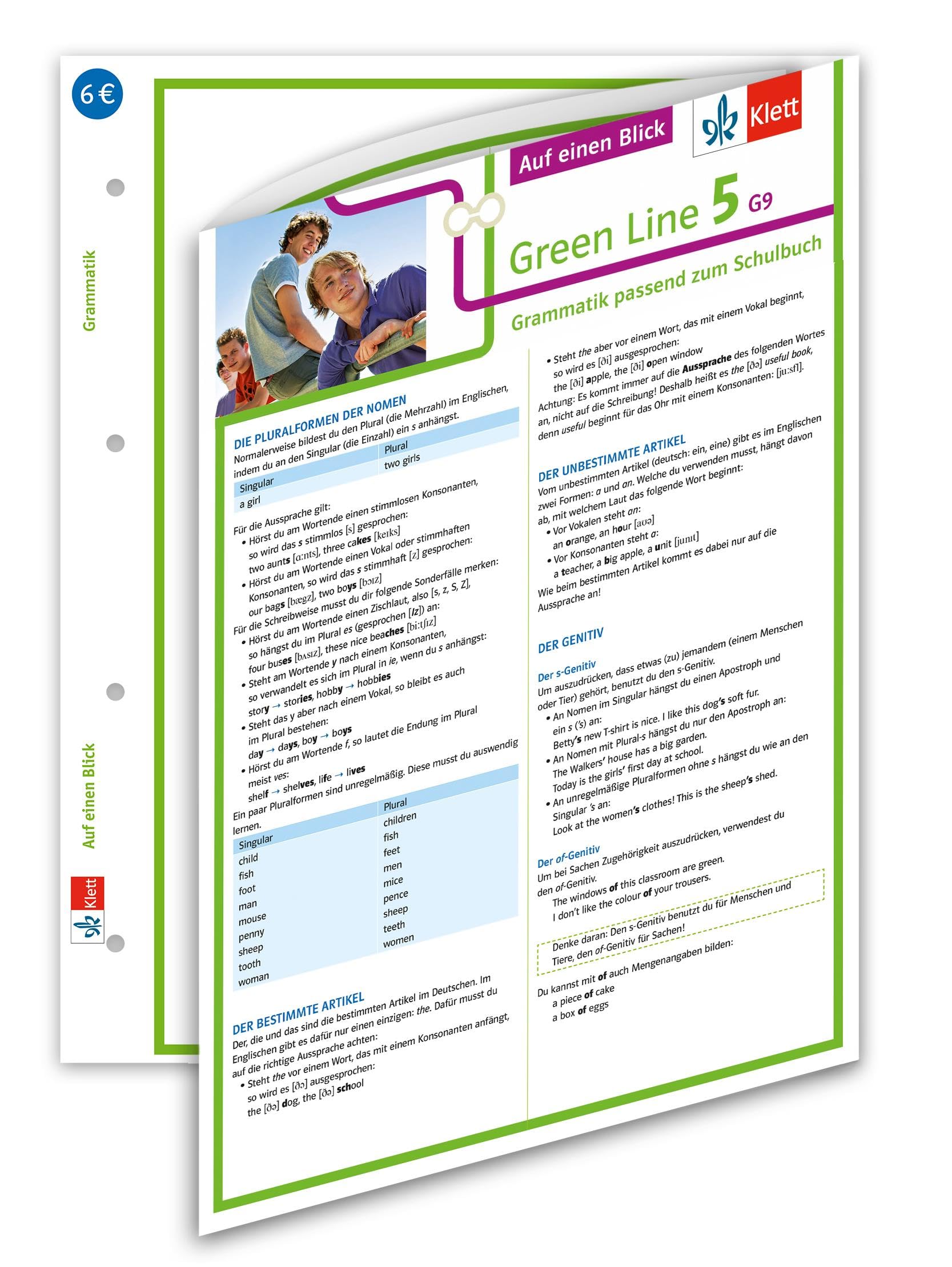 Green Line 5 G9 Klasse 9 Auf einen Blick. Grammatik passend zum Schulbuch Foreign Languages ​​& Dictionaries
