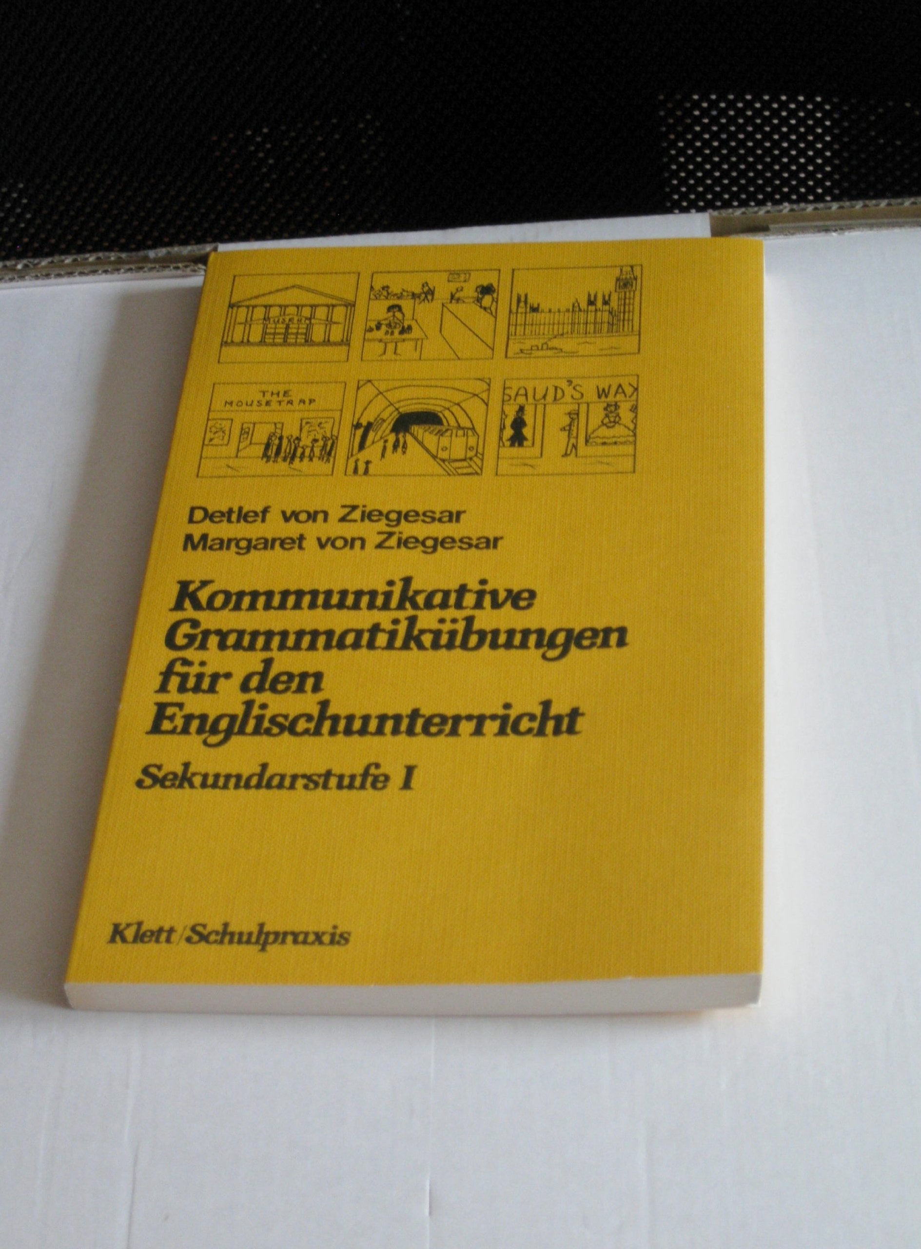 Kommunikative Grammatikübungen für den Englischunterricht. Sekundarstufe I Foreign Languages ​​& Dictionaries