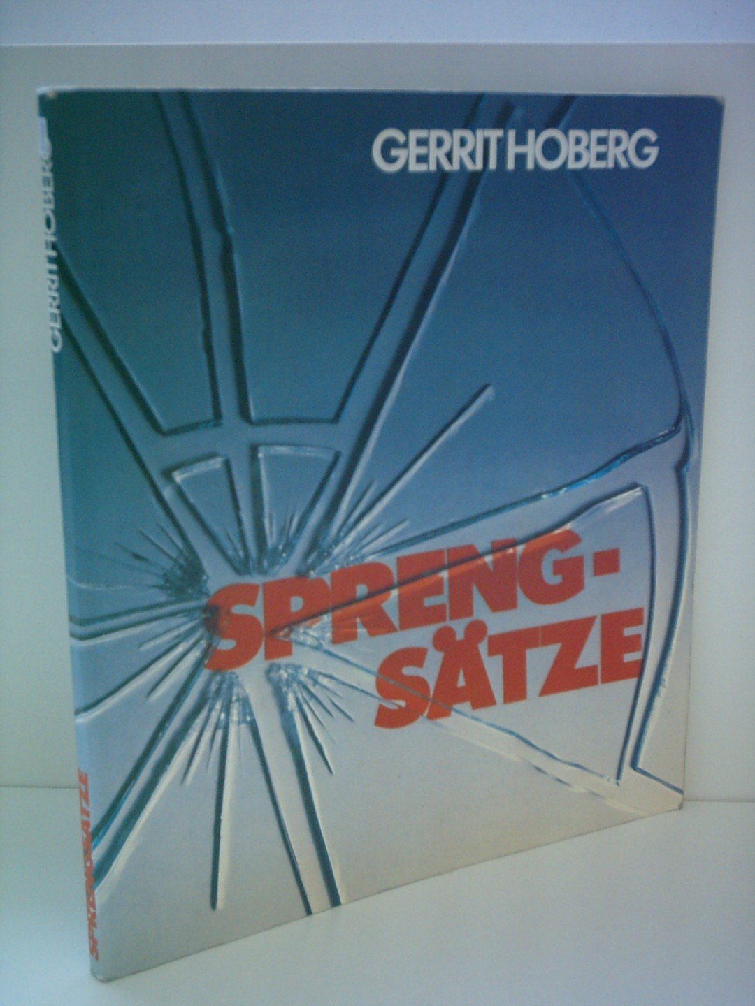 Sprengsätze. Unterrichtsbausteine zu den Themen Gewalt und Terrorismus Books