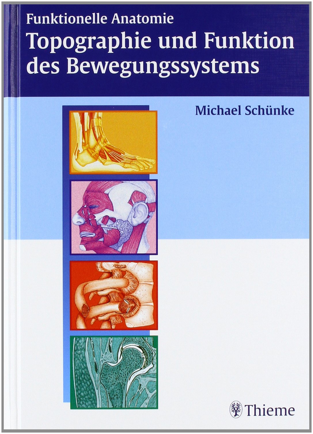 Funktionelle Anatomie: Topographie und Funktion des Bewegungssystems Medicine