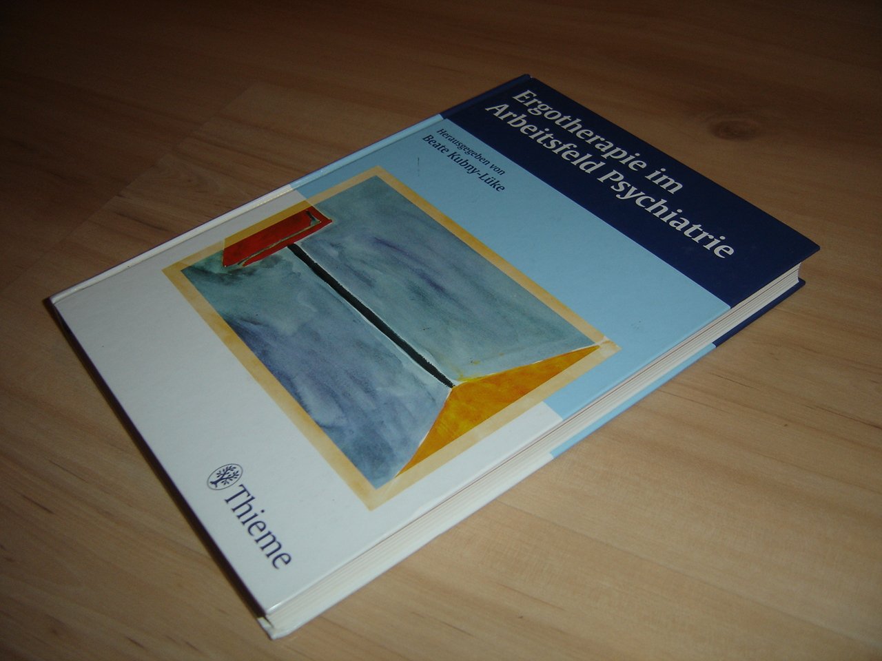 Ergotherapie im Arbeitsfeld Psychiatrie Medicine