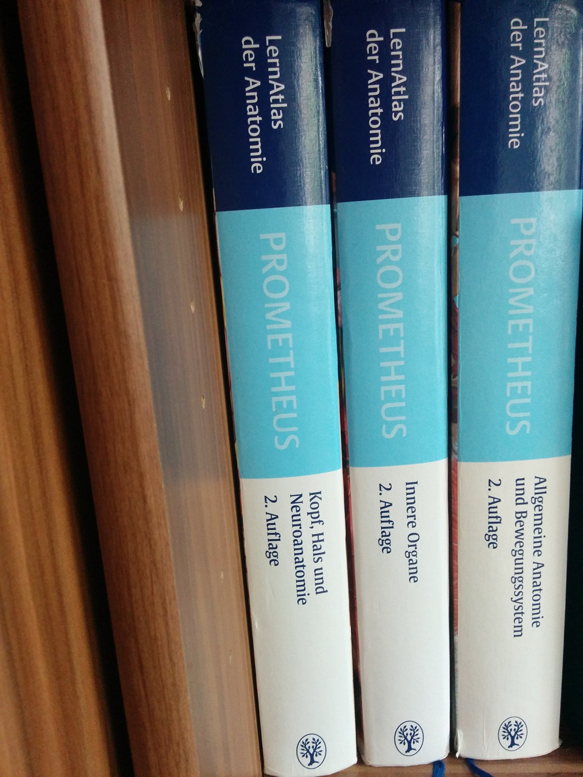 PROMETHEUS Kopf, Hals und Neuroanatomie: LernAtlas Anatomie Medicine