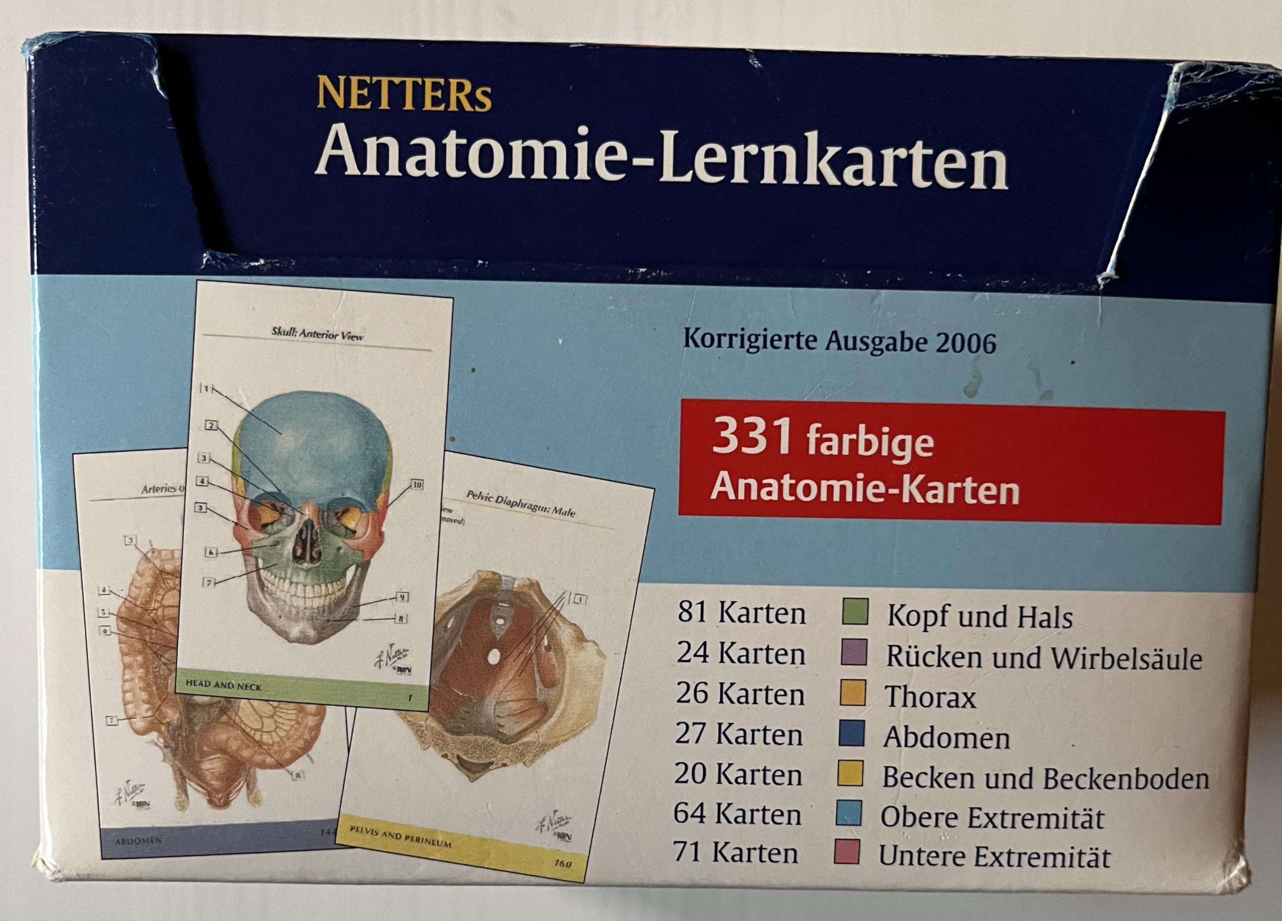Netters Anatomie-Lernkarten (Korr. Ausgabe): Das Lern-Tool für Prüfung und Präp-Kurs Medicine