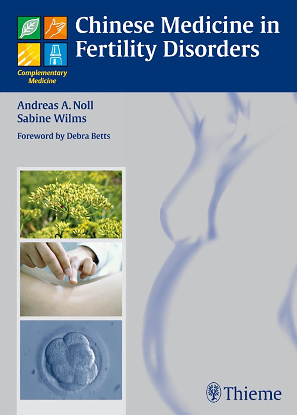 Chinese Medicine in Fertility Disorders (Complementary Medicine (Thieme Hardcover)) Medicine