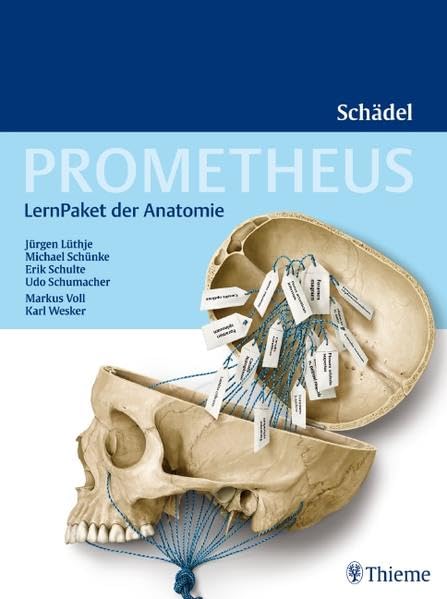 PROMETHEUS LernPaket Anatomie Schädel: Enth.: 1 Lerntafel Terminologie, 1 Lerntafel Foraminologie, 27 LernLeporellos Medicine
