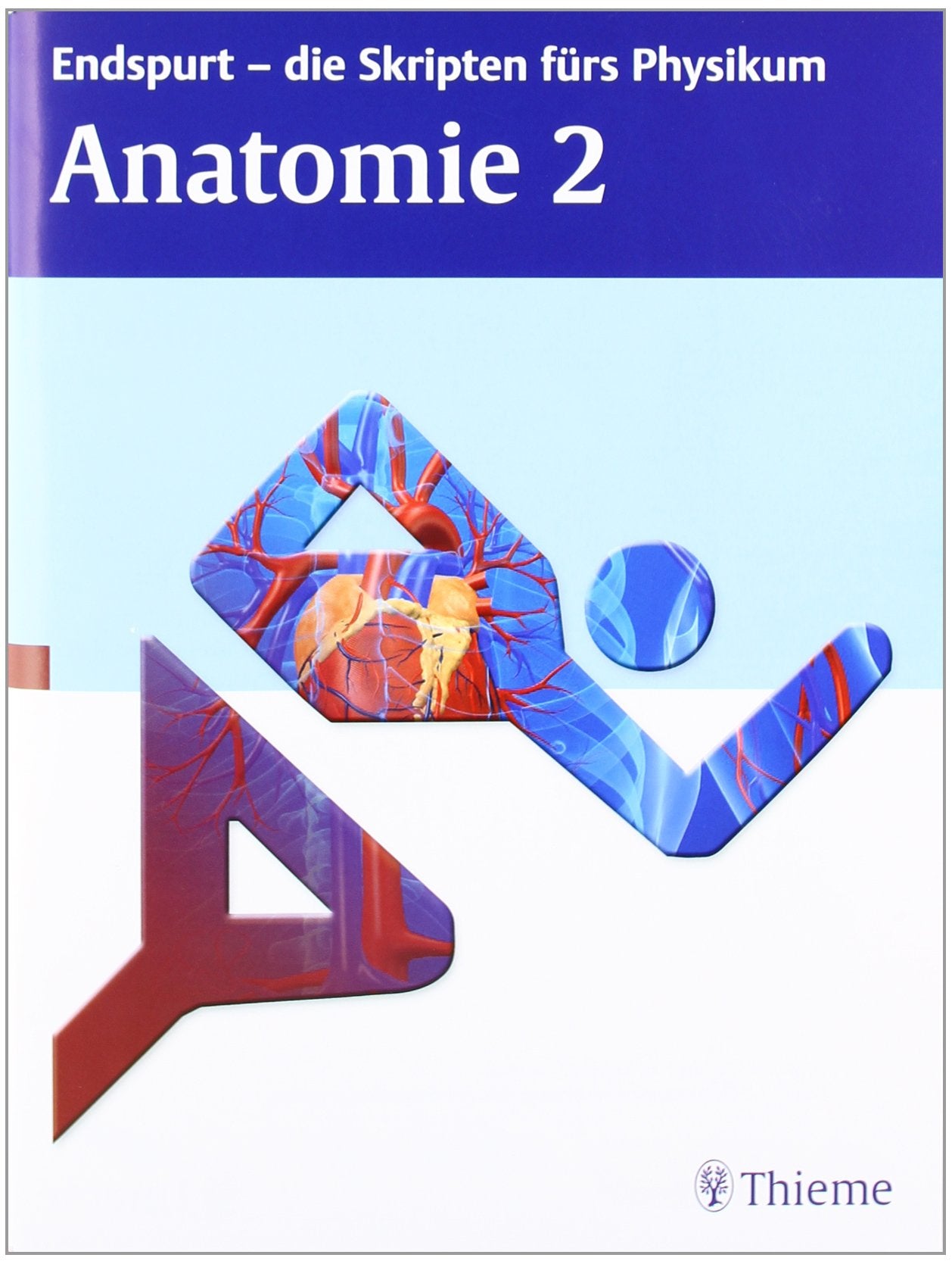 Endspurt - die Skripten fürs Physikum: Anatomie 2 Medicine Books
