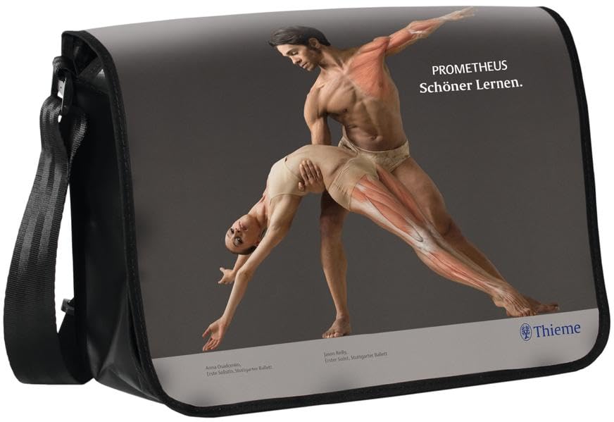 PROMETHEUS LernPaket Anatomie: LernAtlas Anatomie Medicine
