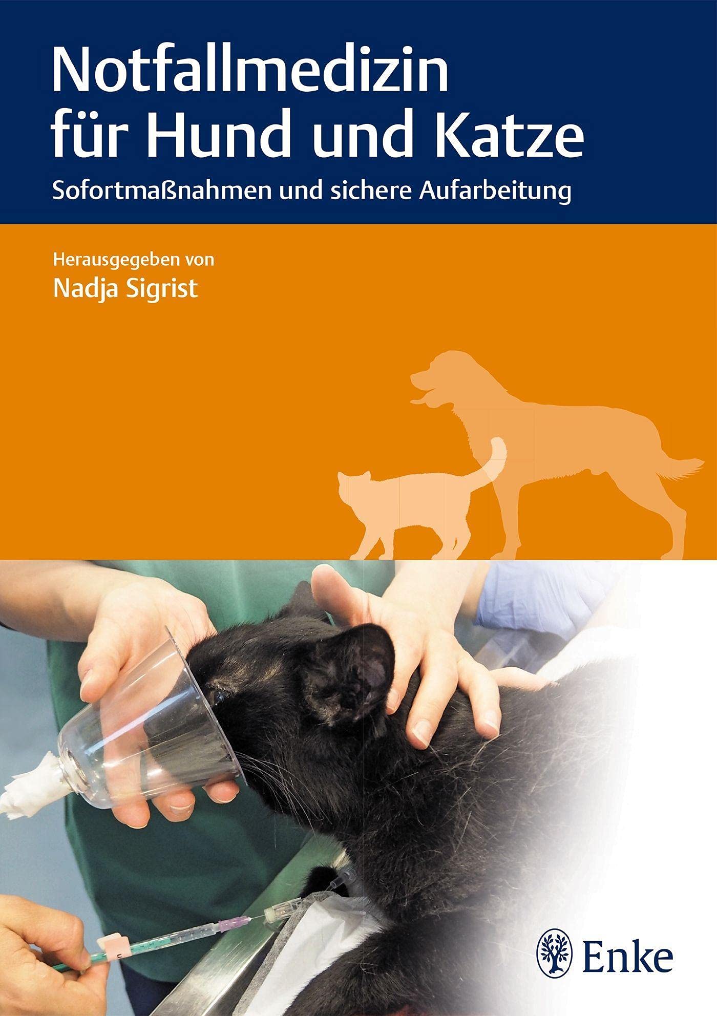 Notfallmedizin für Hund und Katze: Sofortmaßnahmen und sichere Aufarbeitung Medicine