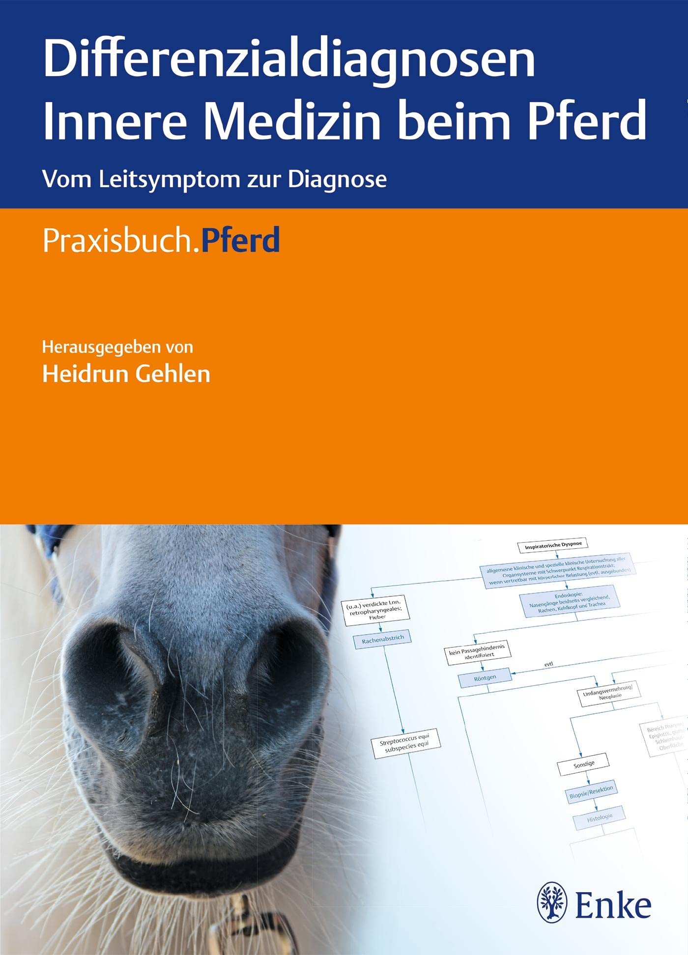 Differenzialdiagnosen Innere Medizin beim Pferd Medicine
