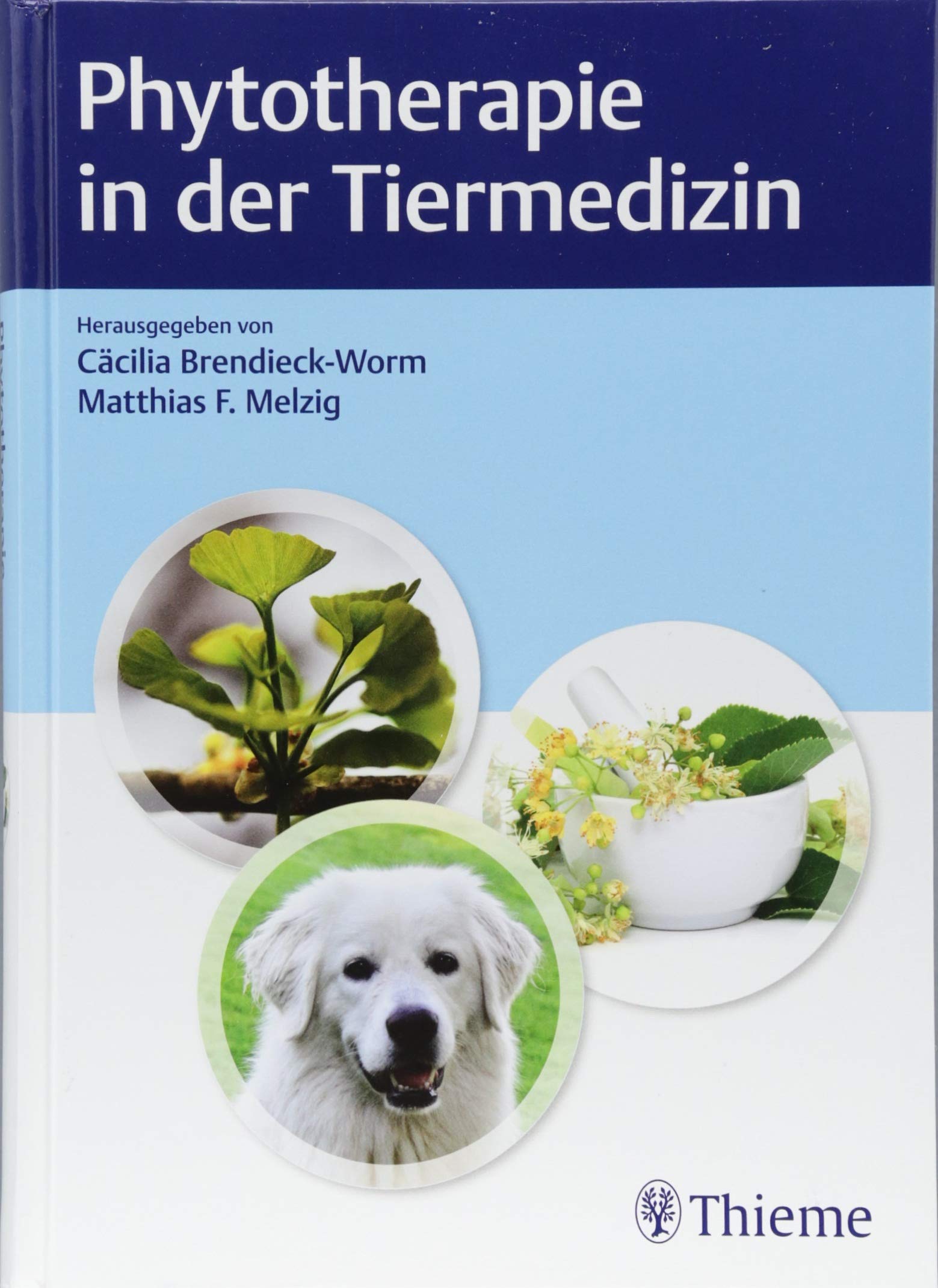 Phytotherapie in der Tiermedizin Medicine