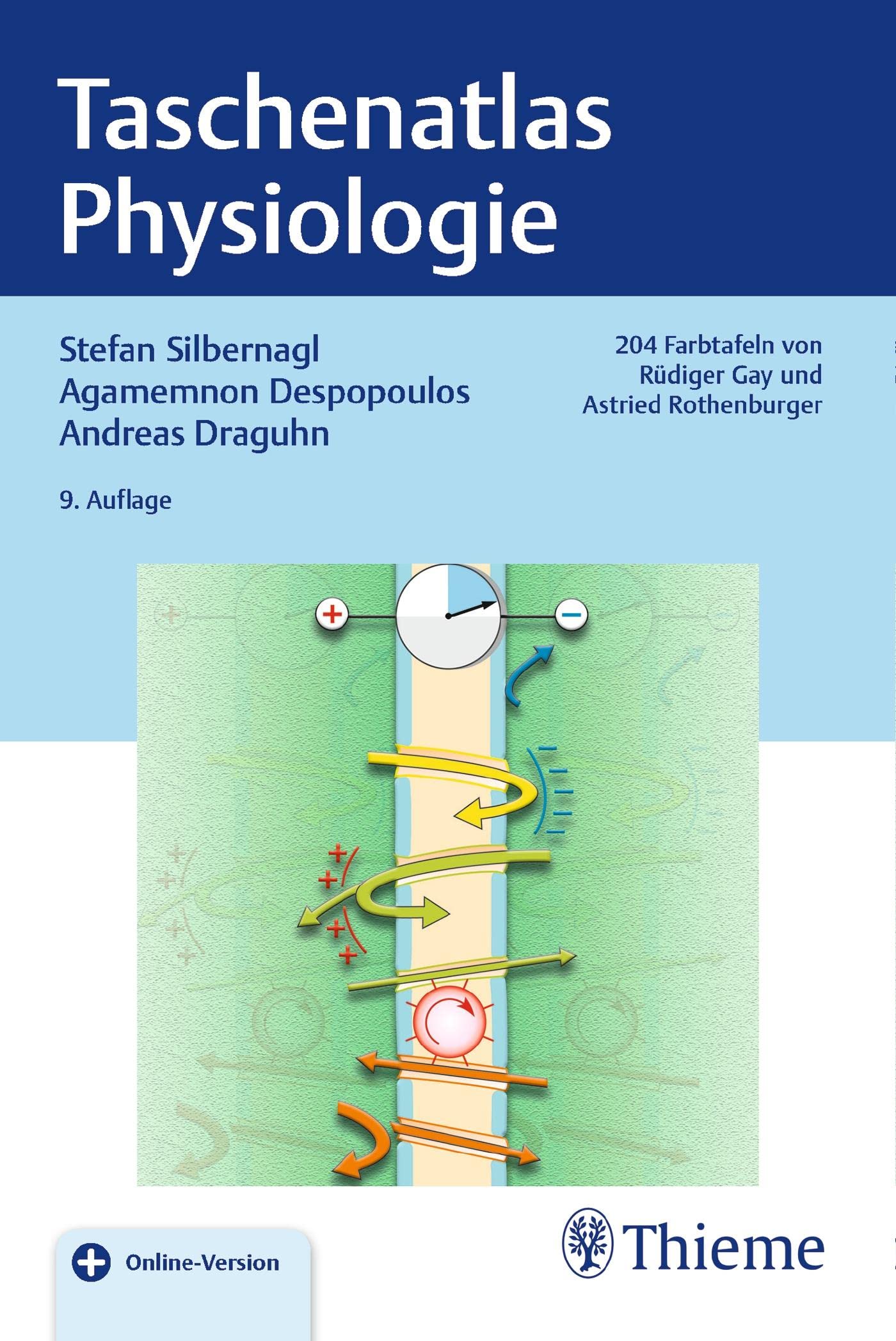Taschenatlas Physiologie Medicine