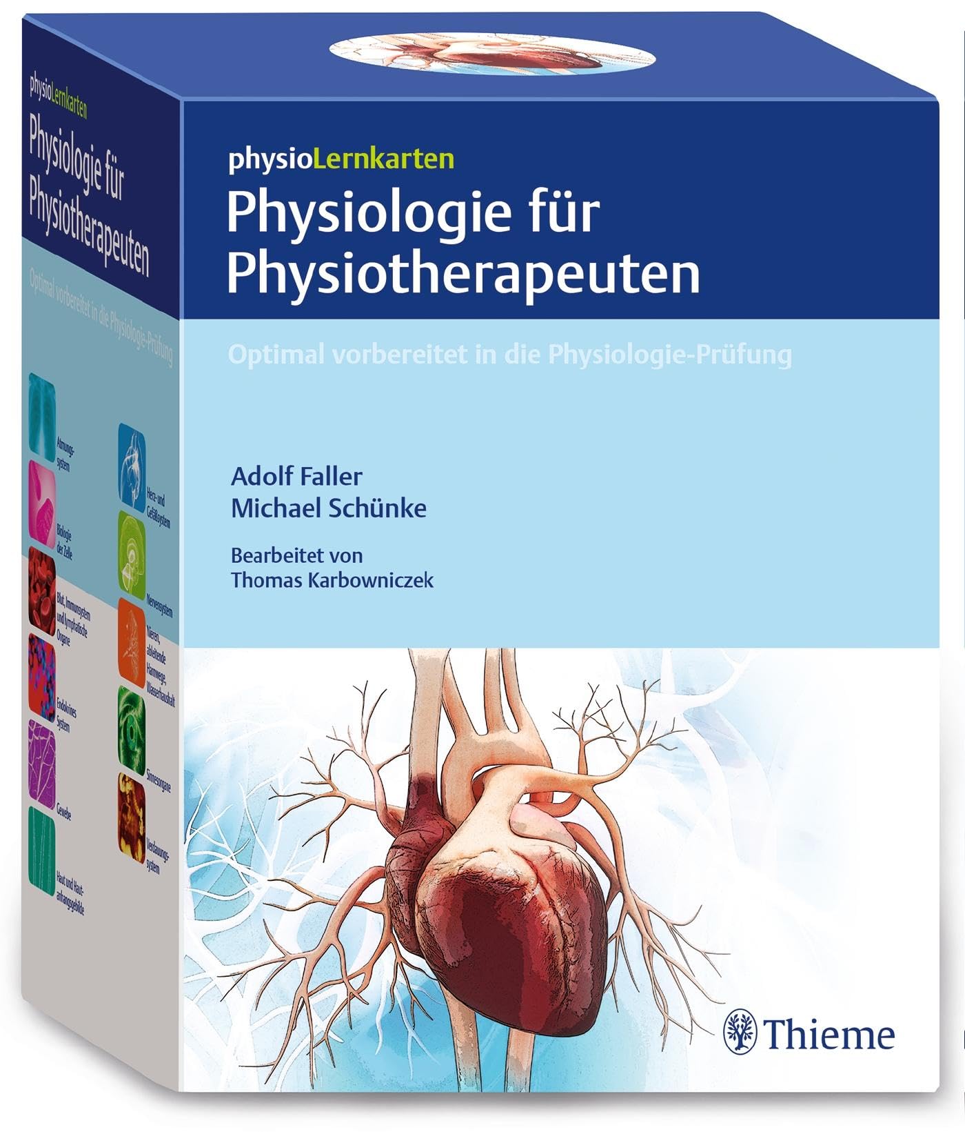 physioLernkarten - Physiologie für Physiotherapeuten Medicine