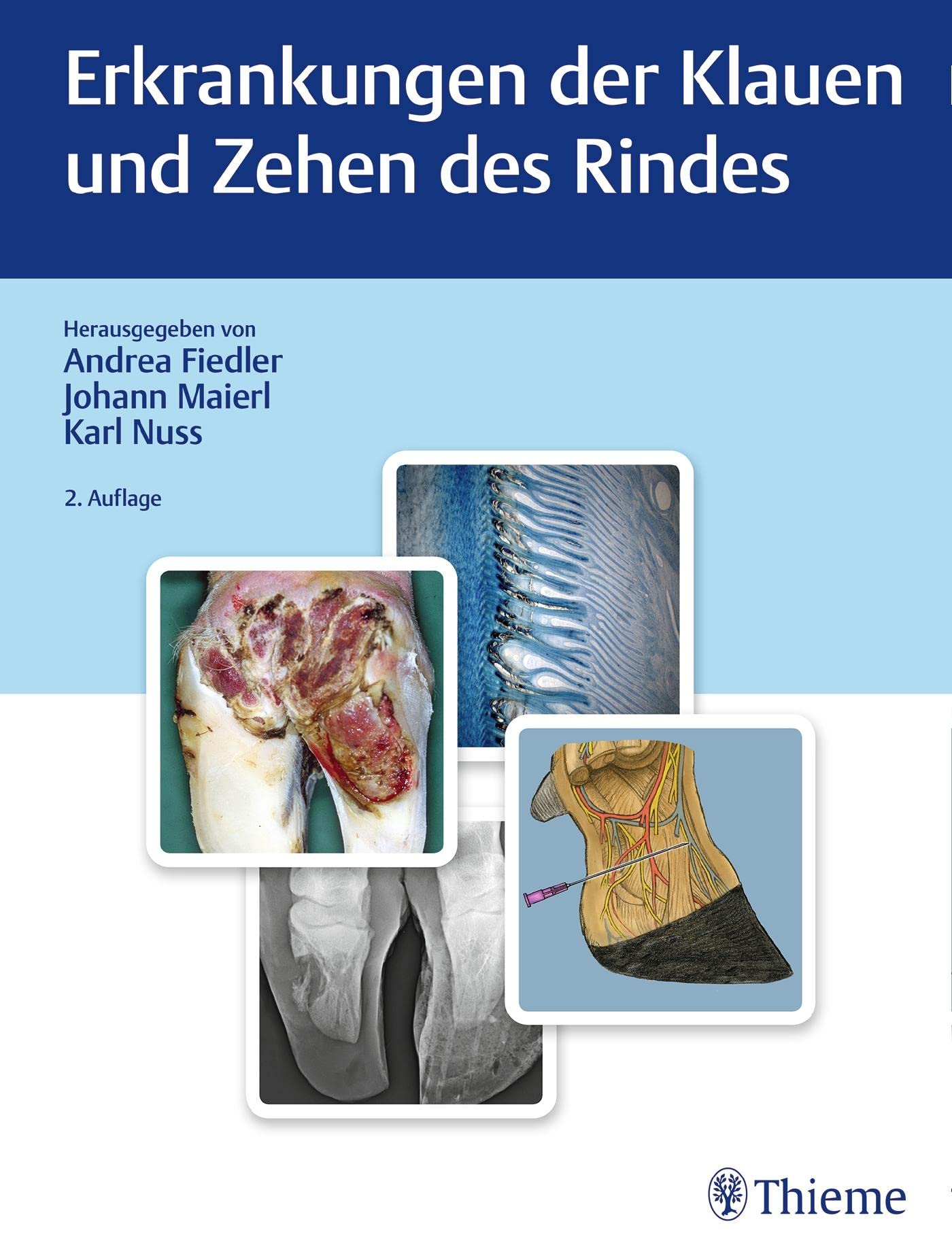 Erkrankungen der Klauen und Zehen des Rindes Medicine