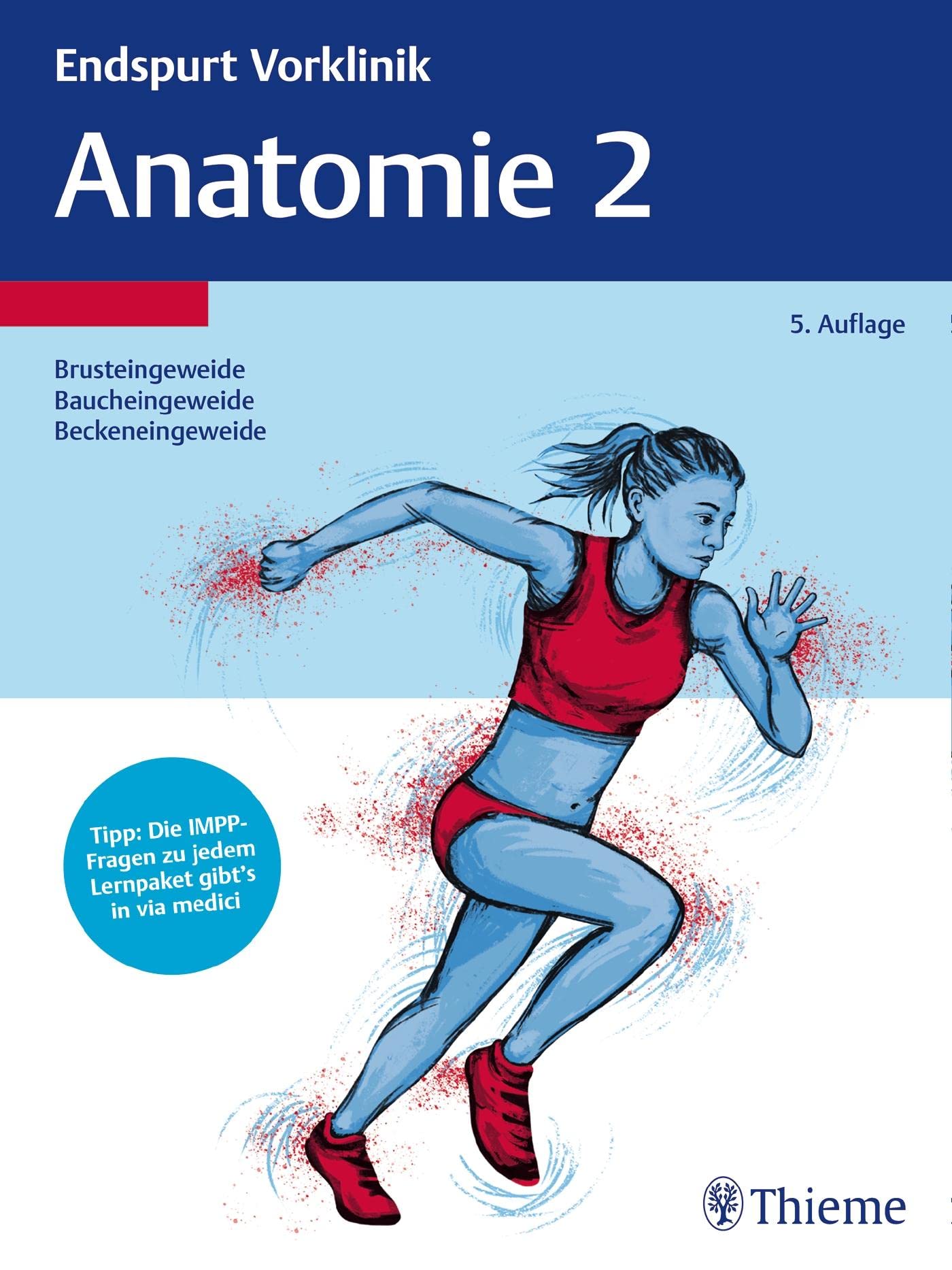 Endspurt Vorklinik: Anatomie 2 Medicine