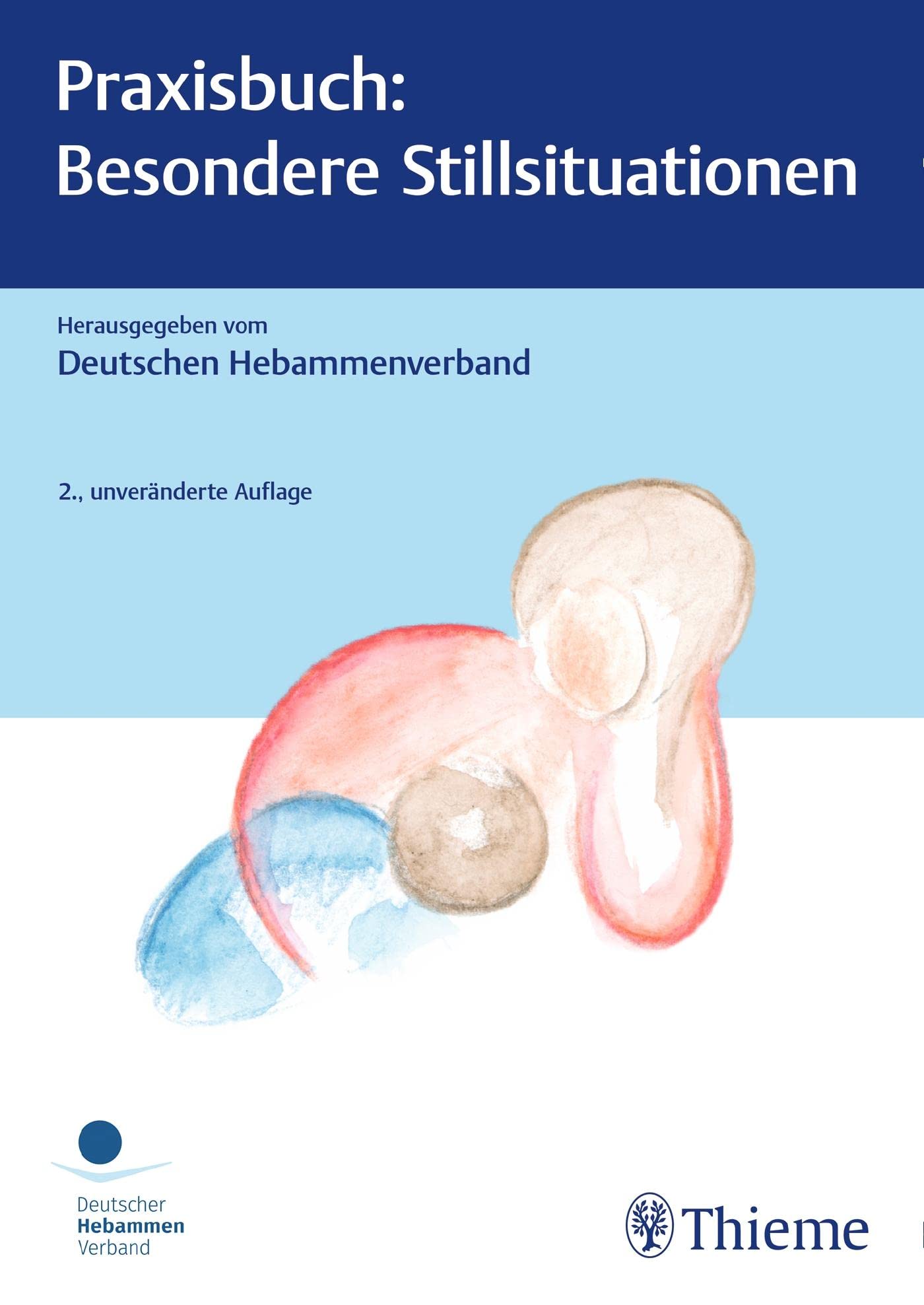Praxisbuch: Besondere Stillsituationen Medicine