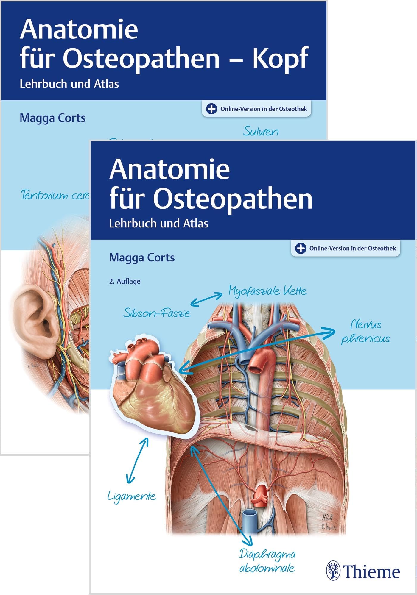 Set Anatomie für Osteopathen Medicine