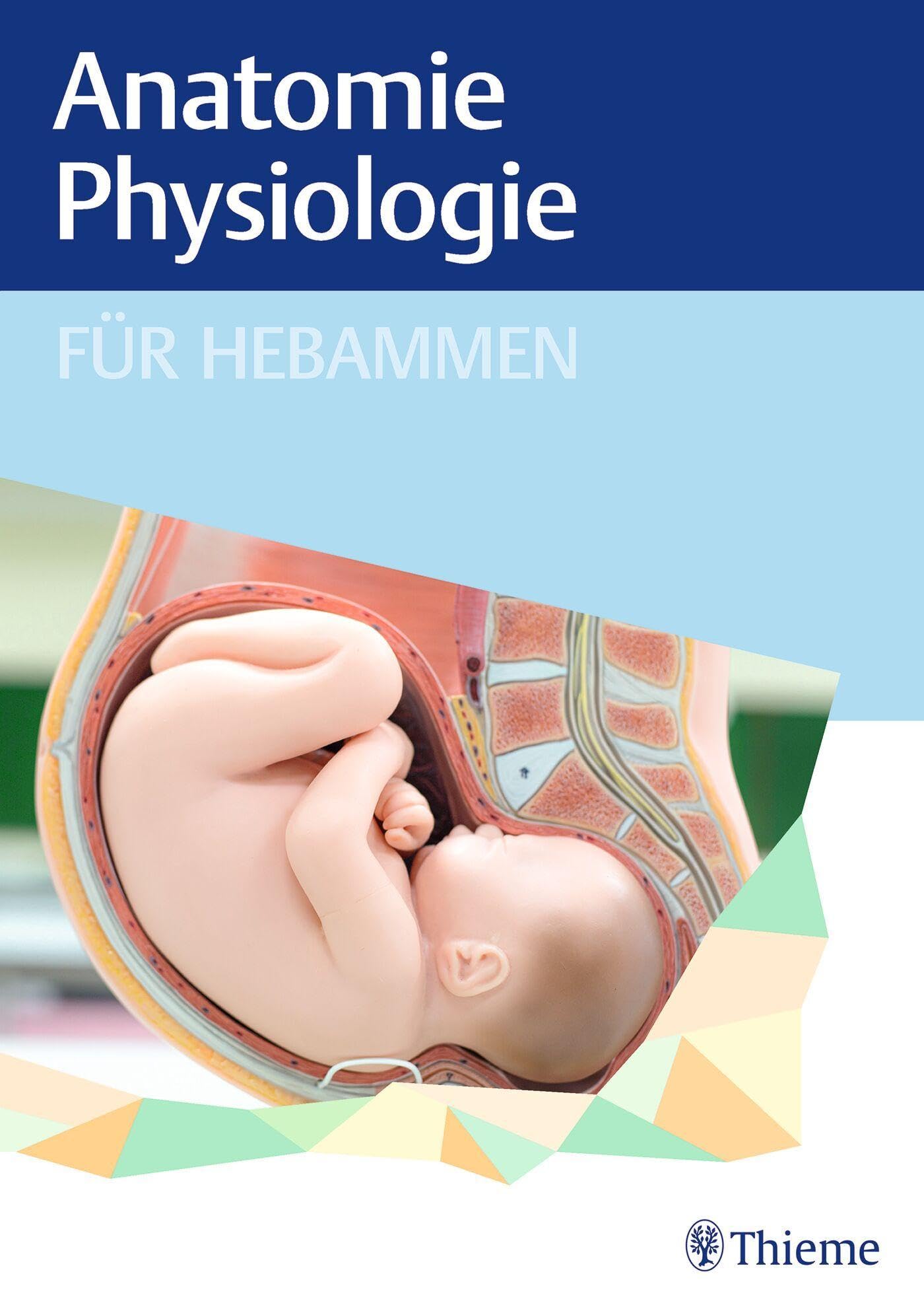 Anatomie und Physiologie für Hebammen Medicine
