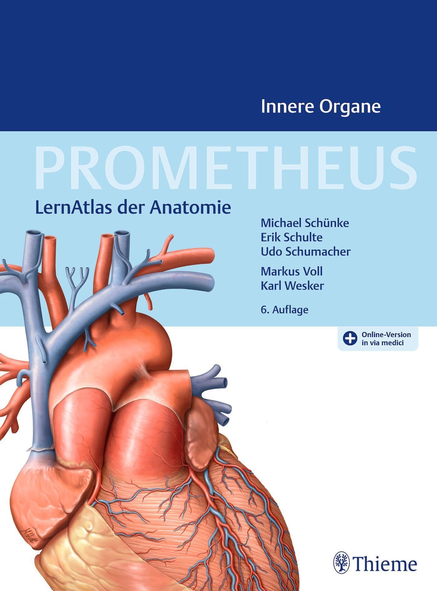 Product Image: PROMETHEUS Innere Organe