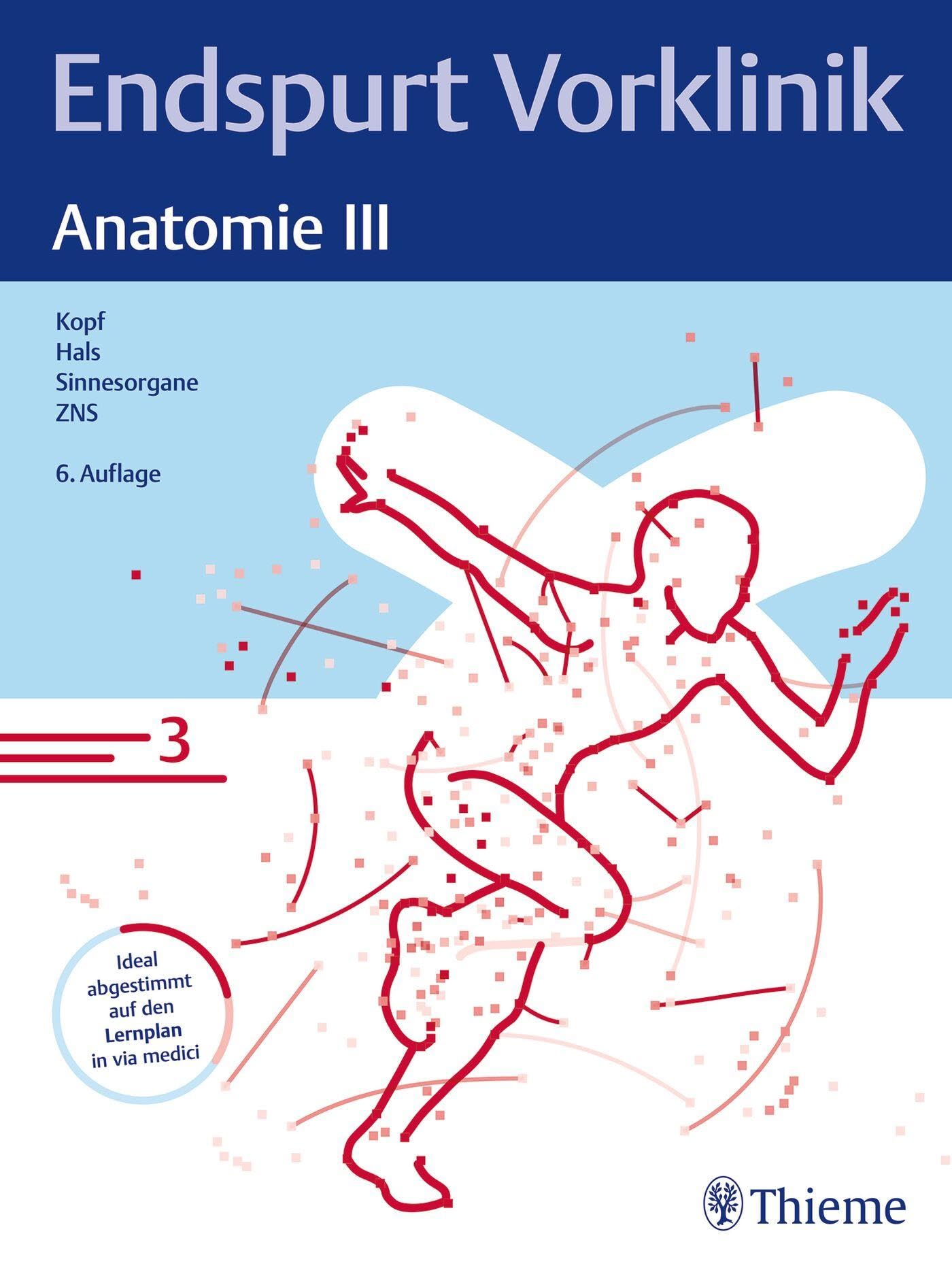 Endspurt Vorklinik: Anatomie III Medicine