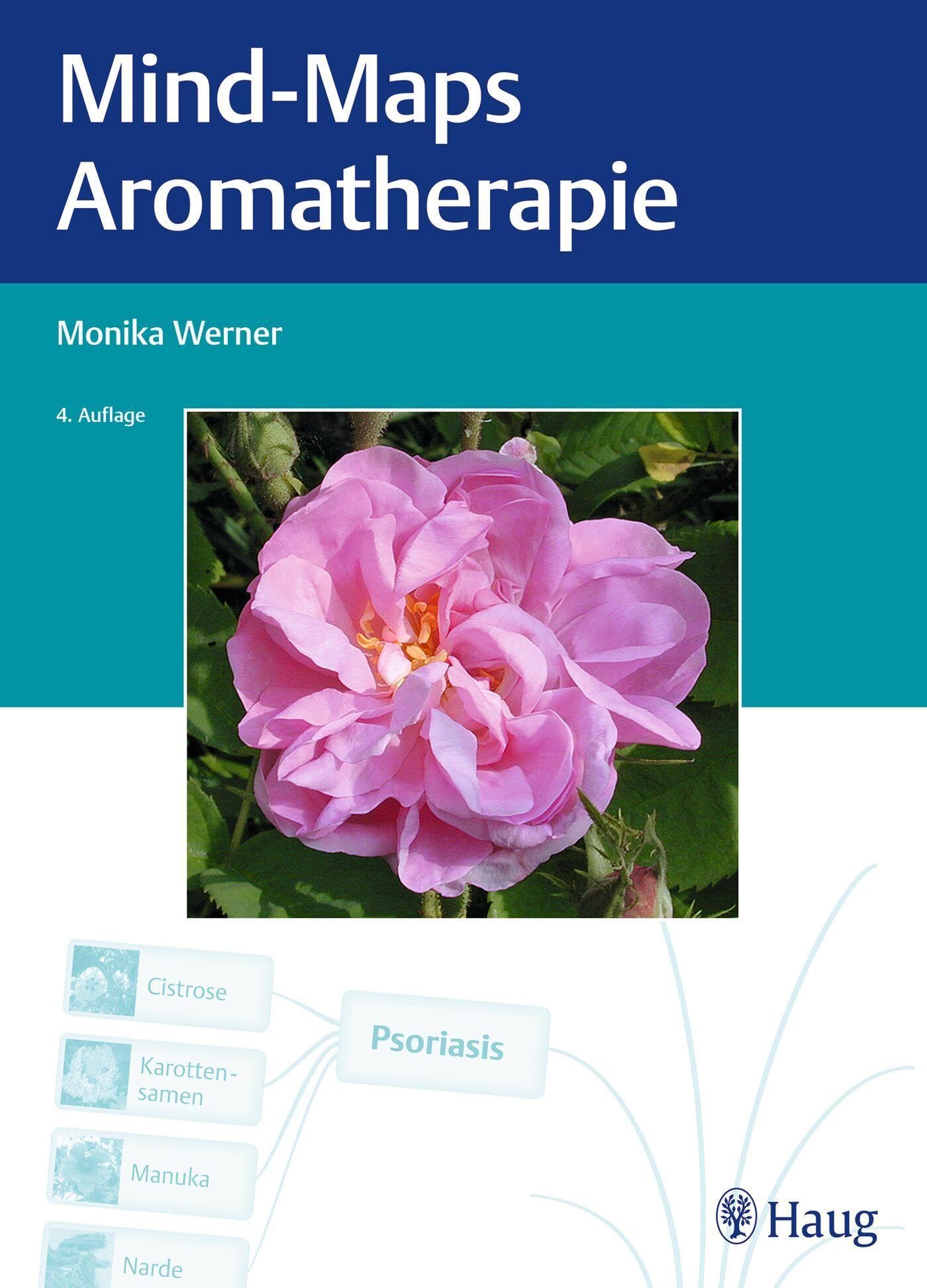 Mind-Maps Aromatherapie Medicine